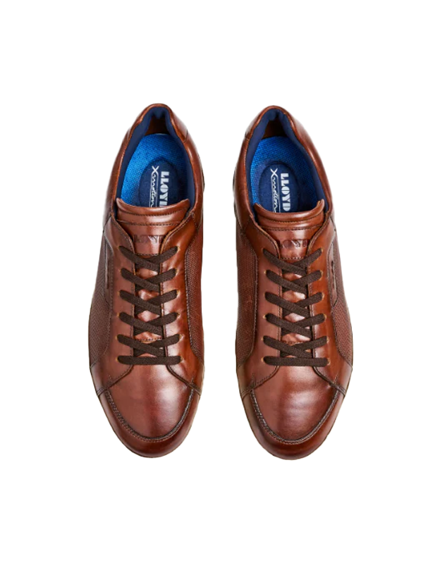 Malaga Leather Sneaker in Brandy