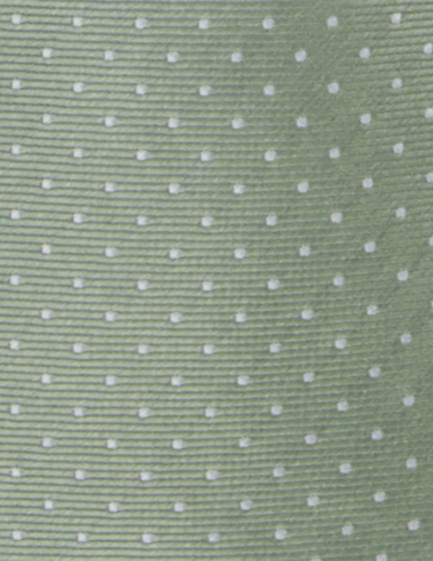 Mini Dots Sage Green Tie