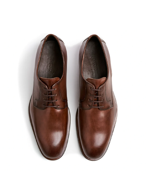 Sabre Dress Shoe in Cigar