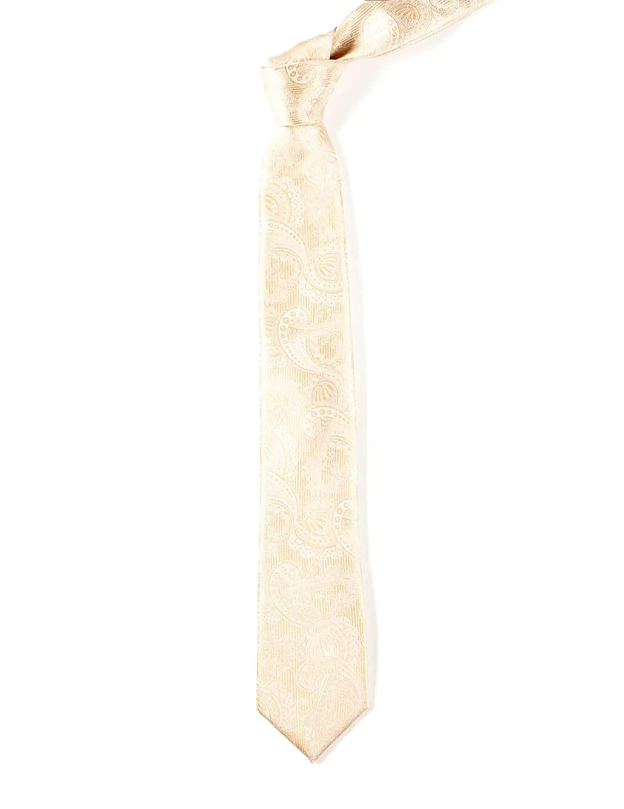 Twill Paisley Champagne Tie