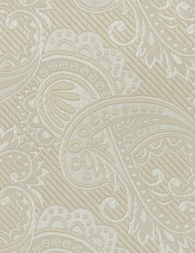 Twill Paisley Champagne Tie