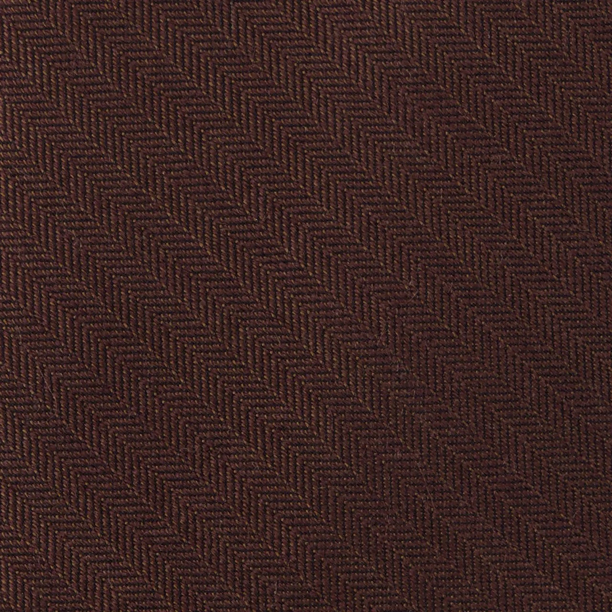 Astute Solid Chocolate Tie