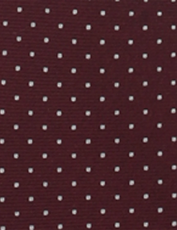 Mini Dots Wine Tie
